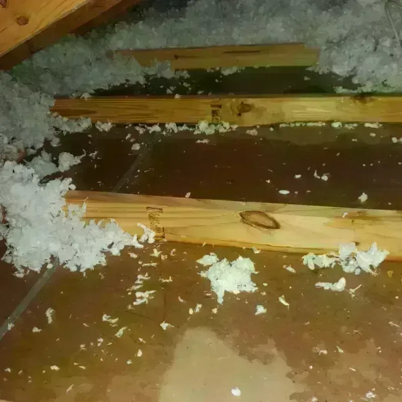 Attic Water Damage in Crafton, PA